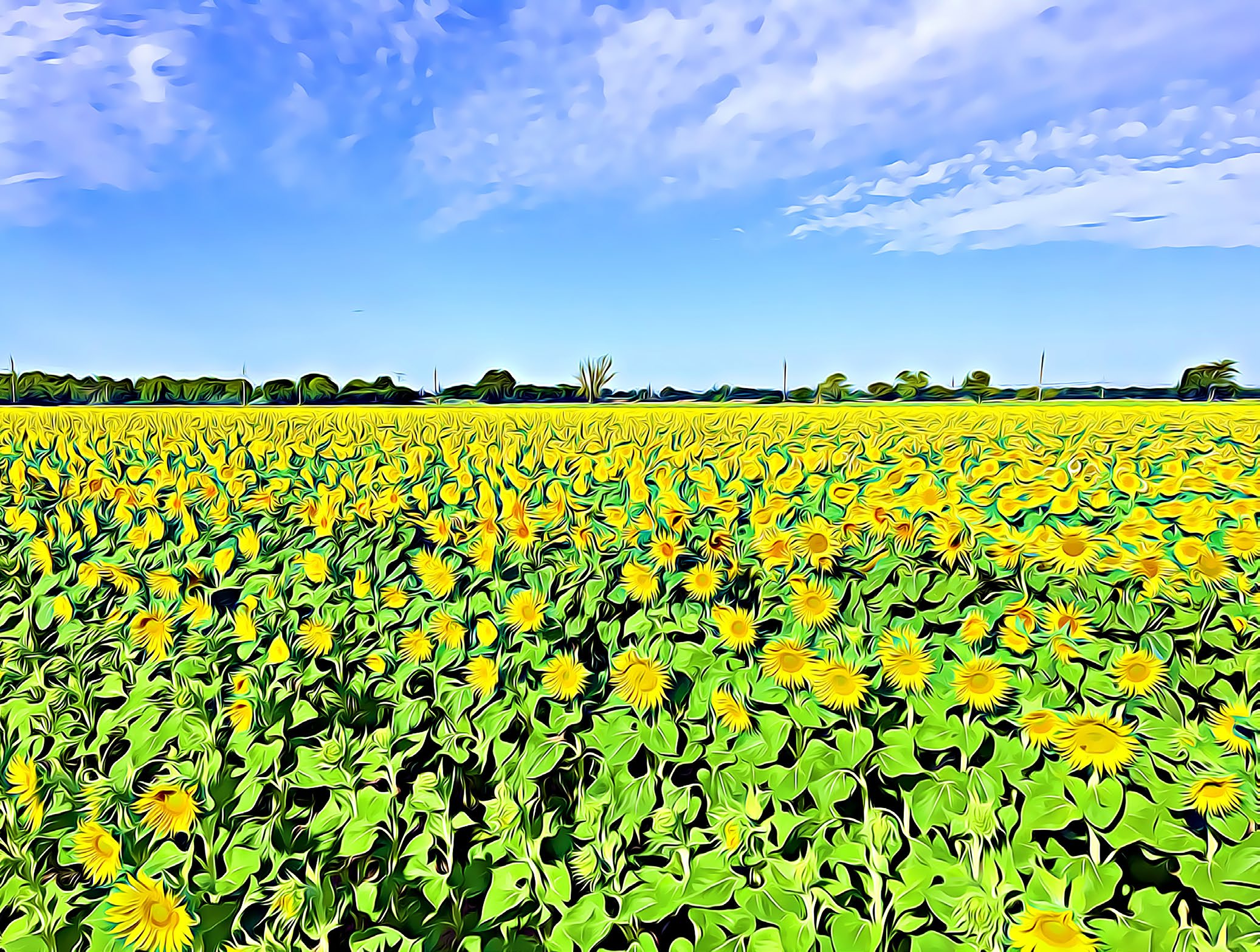 2021 Reprt Cover - field of sumflowers